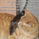 ���� �����, ����������� - ��������� 3 ������ 2010 � ������ �������