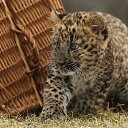 ���� �������, ����� - ��������� 3 ��� 2012 � ������ ���� ����������