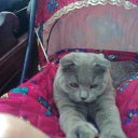 ���� �����, �������, 28 ��� - ��������� 21 ������� 2010 � ������ �������� ��� ���