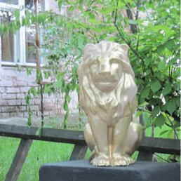 ���� ����������, ����, 48 ��� - ��������� 19 ����� 2012