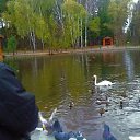 ���� �������, �����������, 48 ��� - ��������� 19 ������ 2012 � ������ �������