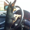  , , 48  -  8  2012   Foto Sympathy