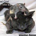 ���� ��������, ������ - ��������� 19 ��� 2013 � ������ ������ ��������