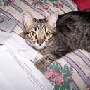 ���� �����, ����������, 59 ��� - ��������� 27 ������� 2010 � ������ �������