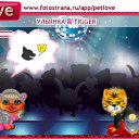  ,  -  2  2010   PetLove