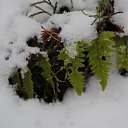 ��� ������ �� ������� ������� ����