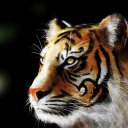 ���� ����� - ���������� ��������!!!, �����������, 56 ��� - ��������� 14 ������� 2009 � ������ ���������� �������Ż