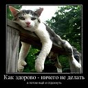 ���� ������, ������, 49 ��� - ��������� 14 ������� 2012 � ������ ���� ����������
