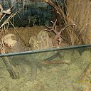 ���� ����, ������, 56 ��� - ��������� 9 �������� 2012 � ������ ������� ��� ������ ���� �������.�