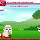  , , 40  -  9  2010   PetLove