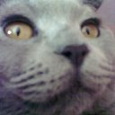 ���� �����, �������, 28 ��� - ��������� 21 ������� 2010 � ������ �������� ��� ���