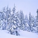  ,  -  12  2011   ...