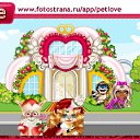 ���� �����, ������, 35 ��� - ��������� 8 ������� 2010 � ������ �PetLove�