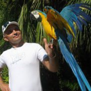 ����, 59 ���, ������