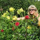 ���� �������, �����, 62 ���� - ��������� 15 ��� 2011 � ������ ���� ����������