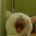 ���� Wer, ������, 57 ��� - ��������� 5 ����� 2010 � ������ �������-������