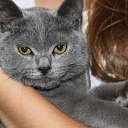 ���� �������, ������-��-���� - ��������� 21 ������ 2013 � ������ ���� ����������