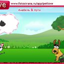  , , 28  -  19  2010   PetLove