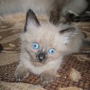 ���� ����, �������, 45 ��� - ��������� 30 ������� 2013 � ������ ���� ����������