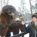 ���� ������, ��������, 49 ��� - ��������� 26 ������� 2014 � ������ ���� ����������