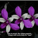 ���� Tatiana, ����������� - ��������� 5 �������� 2013 � ������ ���� ����������