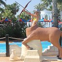 ���� Lfhmz Fajybyf, ������, 25 ��� - ��������� 1 ������� 2014 � ������ ���� ����������