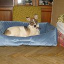 ���� ����, ������, 47 ��� - ��������� 3 ������� 2014 � ������ ���� ����������