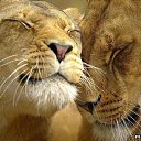 ���� ������, ���������� �����, 45 ��� - ��������� 14 ������ 2014 � ������ ������