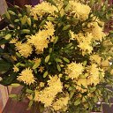 �����, ����������. �� ������� ����� ��� ������������