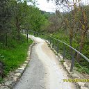 ���� Mihail, ����, 63 ���� - ��������� 11 ������ 2013 � ������ ���� ����������