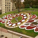      .   Unite Kiev