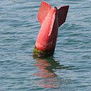 ���� ϸ��, ������ ���, 67 ��� - ��������� 31 ������ 2014 � ������ ���� ����������