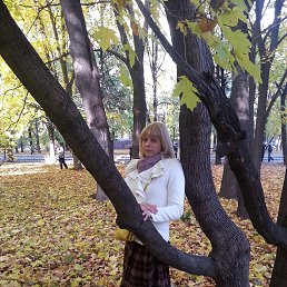 ���� ������, ������, 48 ��� - ��������� 4 ����� 2014