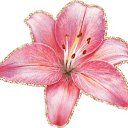 ���� �����, ������ - ��������� 24 ������� 2014 � ������ �������