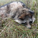 ����� �� ��������� ��� � ������! �� ������� ���� ����������