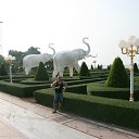  , -, 50  -  11  2014    2013