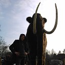 ���� ������, �������, 36 ��� - ��������� 12 ����� 2014 � ������ ���� ����������