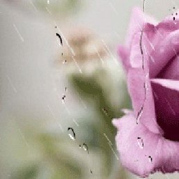 ���� �����, ������ - ��������� 20 ������� 2013