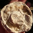 ���� ���, �������, 54 ���� - ��������� 14 ������� 2013