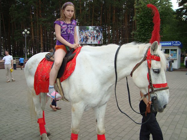  :    !))) -  , 