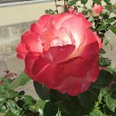 ���� ���������, ���������������, 61 ��� - ��������� 27 ������ 2014 � ������ ����������