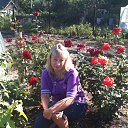 ���� �����, ������ ��������, 55 ��� - ��������� 18 ������� 2013 � ������ ���� ����������