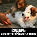 ���� ���, ������ - ��������� 18 ������� 2013 � ������ ���������