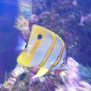 ���� ������, ������� �������� - ��������� 29 ������� 2013 � ������ �����������