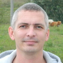 ������, ������, 49 ���