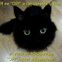 ���� ����, ������, 43 ���� - ��������� 10 ������ 2013 � ������ ���� ����������