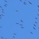 ��������� ��� ���� ������!