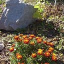 ��� ����� �� ����� http://crimea.my1.ru �� ������� ���� ����� !!!�