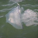 ������ � ������� �� ������� ���� ����������