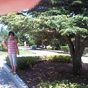  ..........,  -  23  2013    